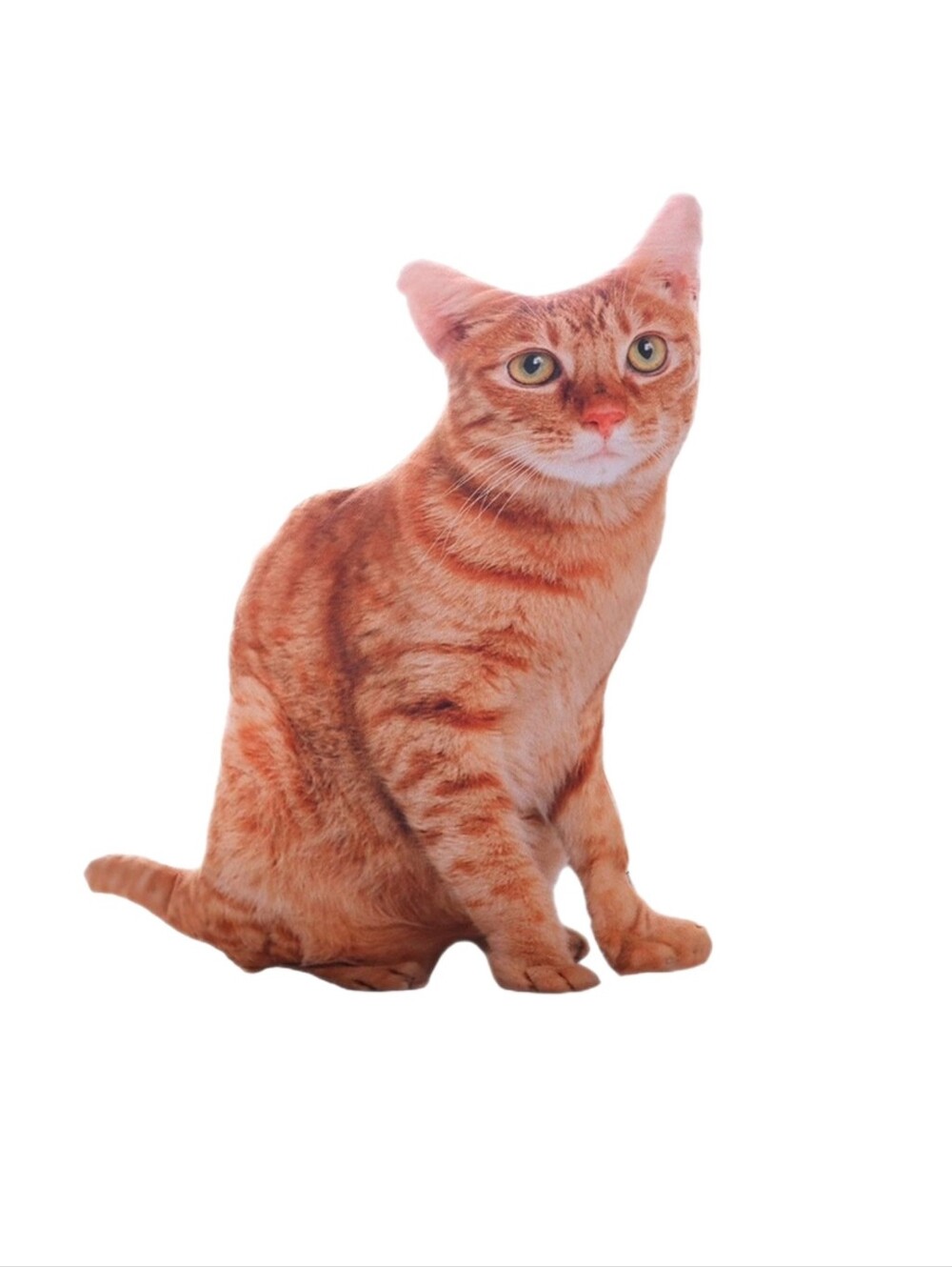 Novelty Decorative Pillow